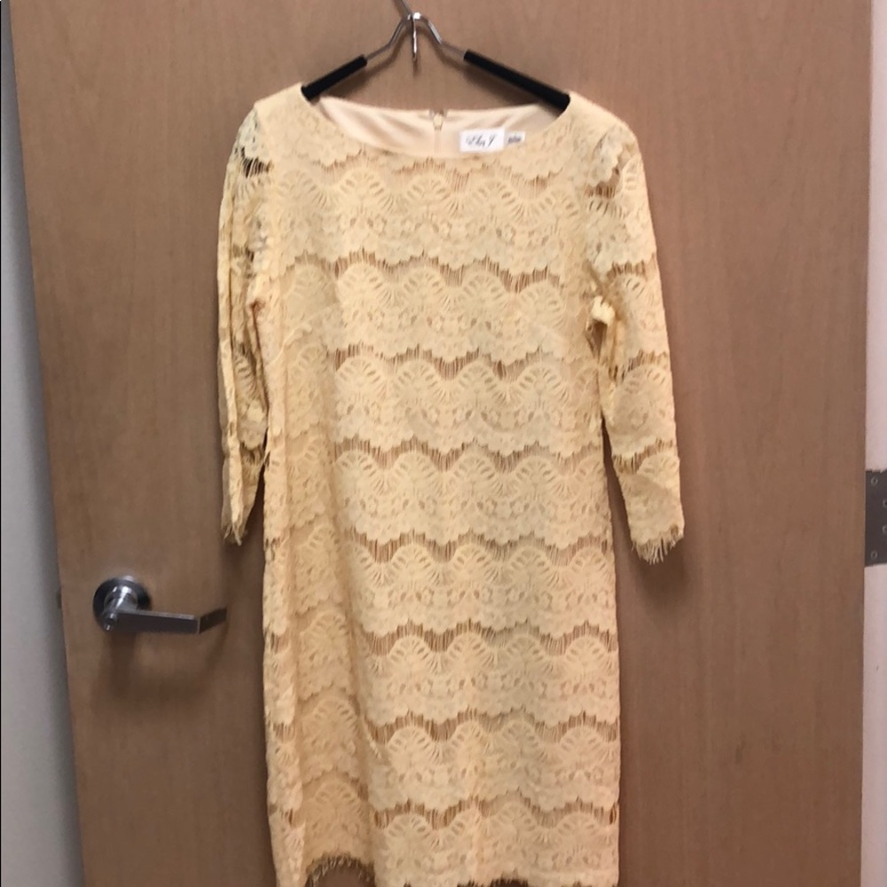 Eliza J Lace Dress